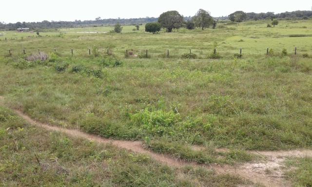Fazenda em Roraima -São Luiz - Foto 8