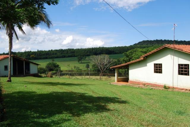 Fazenda com 12 alqueires em Terezópolis-GO