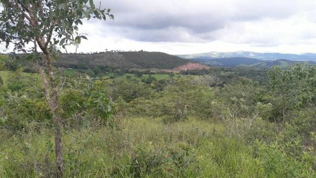 Vendo 04 Alqueires Panalmira - Foto 3