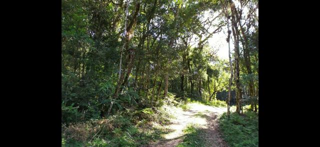 Terreno em Condomínio de Chácaras - 10 mil M2 - Aceita carro - troca - 300m do asfalto - Foto 2