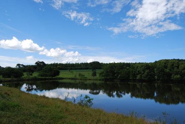 Fazenda com 12 alqueires em Terezópolis-GO - Foto 3