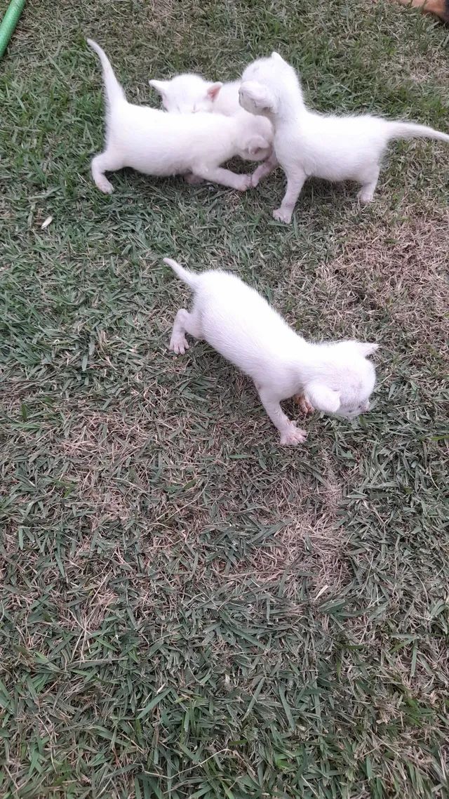 Doação 