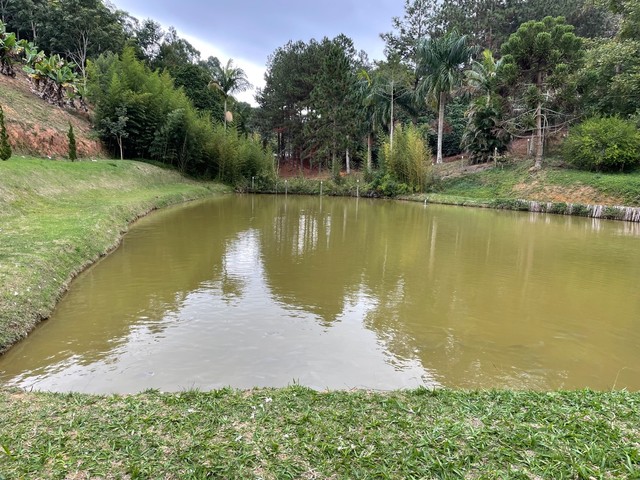 Sítio em Santa Teresa com casa de 4 quartos - 31.000M2. - excelente localização - Foto 8