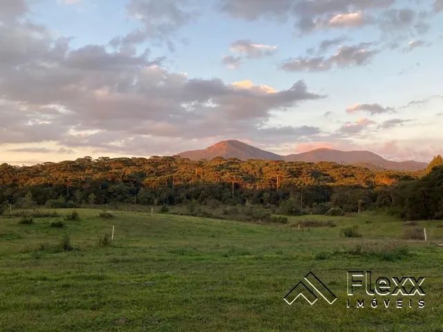 Chácara com 1 dormitório à venda, 10000 m² por R$ 370.000,00 - Ayrton Loyola - Quatro Barr - Foto 7