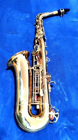 Sax Alto Shelter