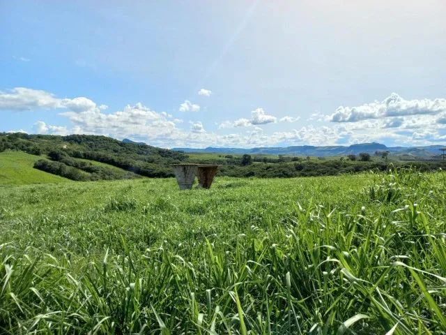 Fazenda em Candido de Abreu - Foto 5
