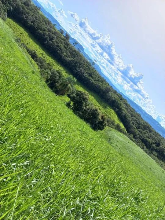 Fazenda em Candido de Abreu