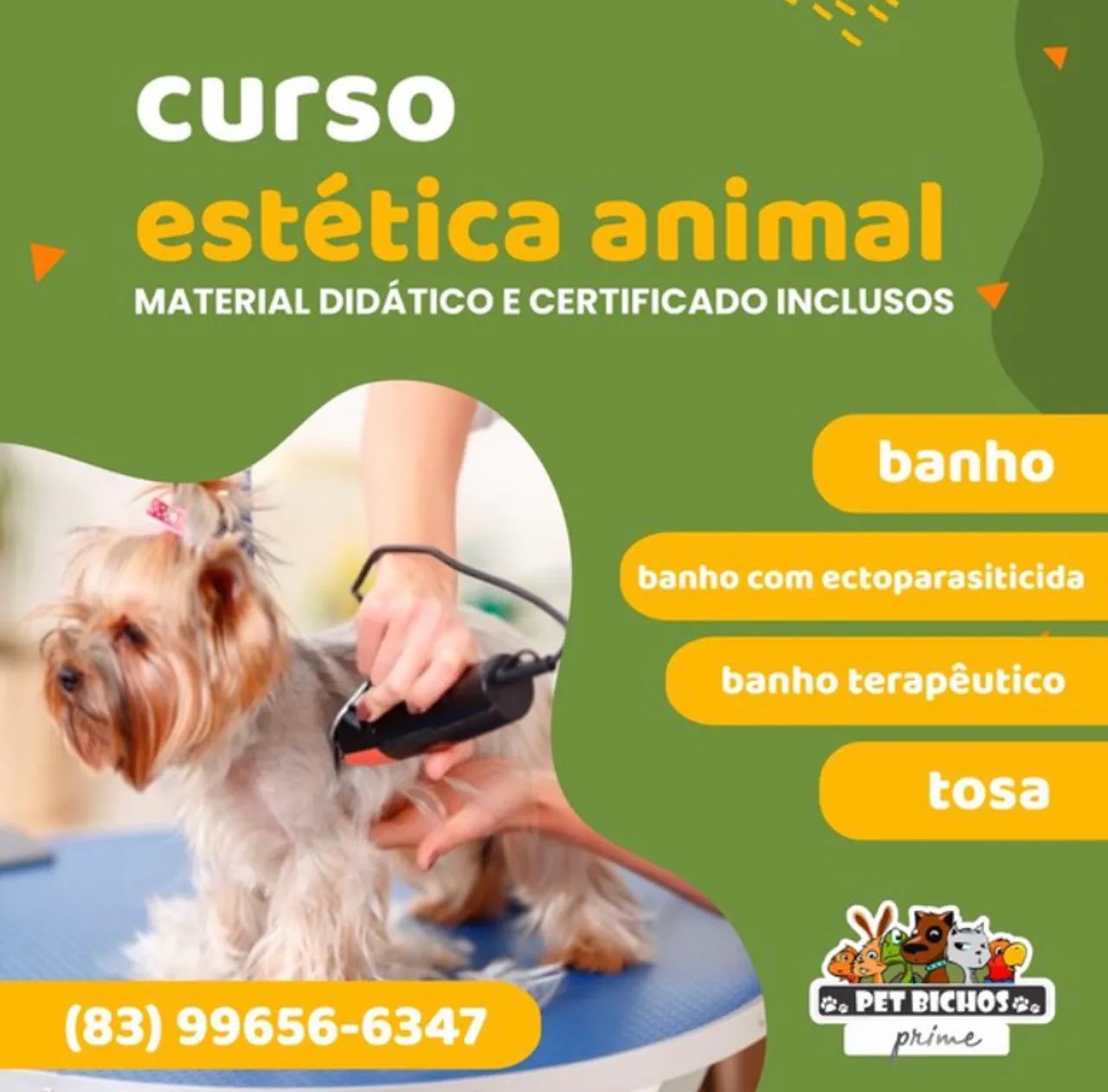 Curso Pet 