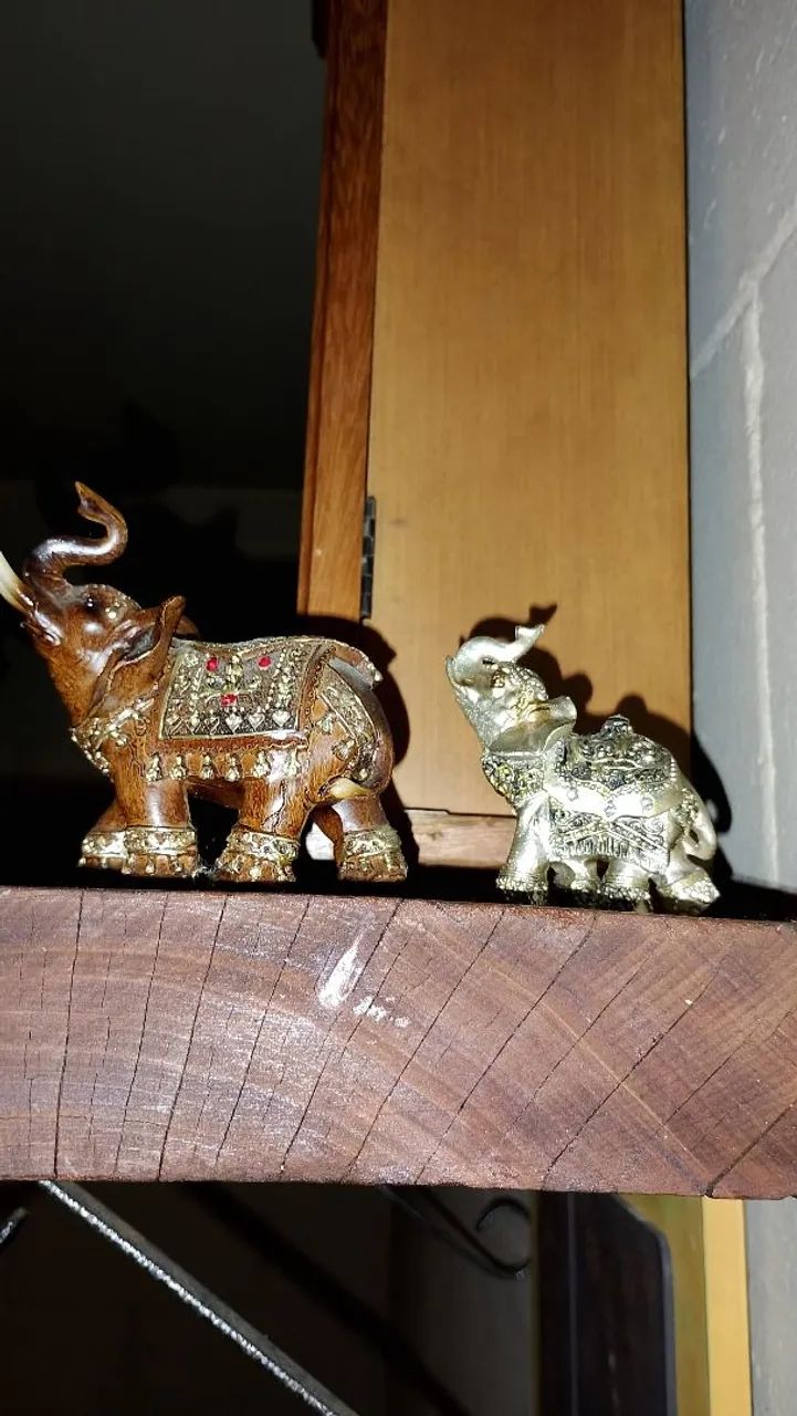 2 elefantinhos fofos  - Foto 2