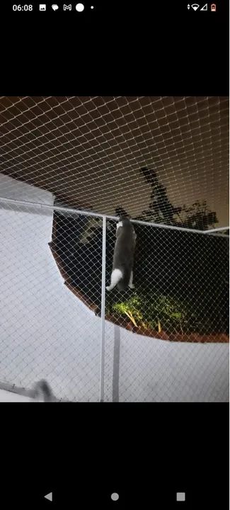 Rede de proteção todos os tipos  - Foto 2