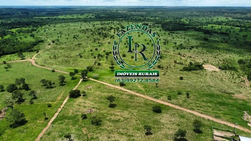 Fazenda 150 Alqueires Tocantins Próximo a Cidade - Foto 2
