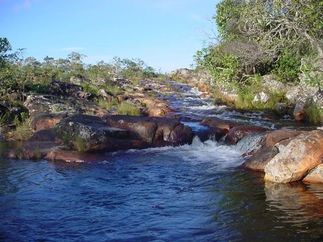 40.000 m² CHÁCARAS NA CHAPADA DOS VEADEIROS   - Foto 3