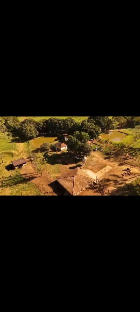 Fazenda região de caldas  - Foto 5