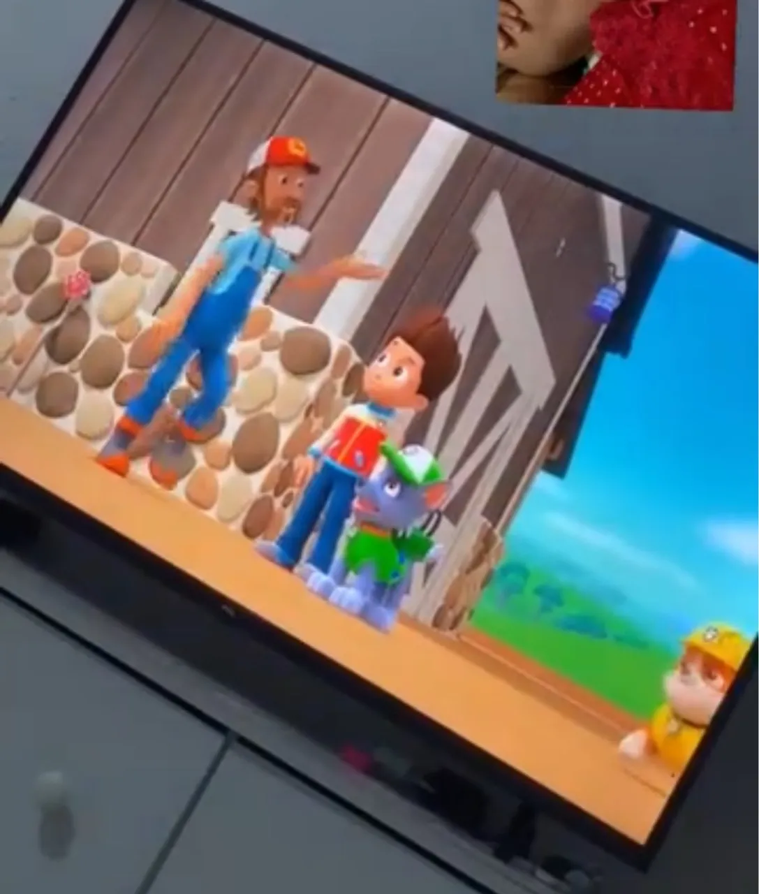 TV - Desenhos Paw Patrol