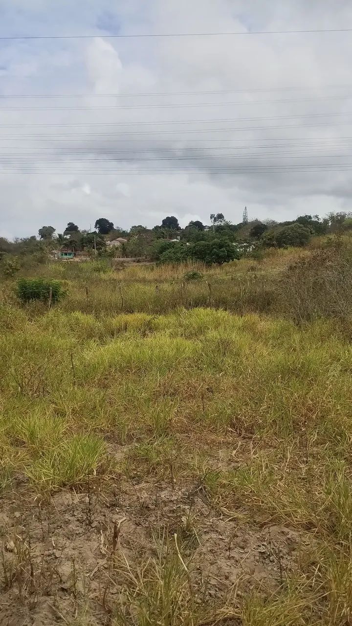  Sítio em Jenipapo com 0,8 hectare com escritura e registro público 