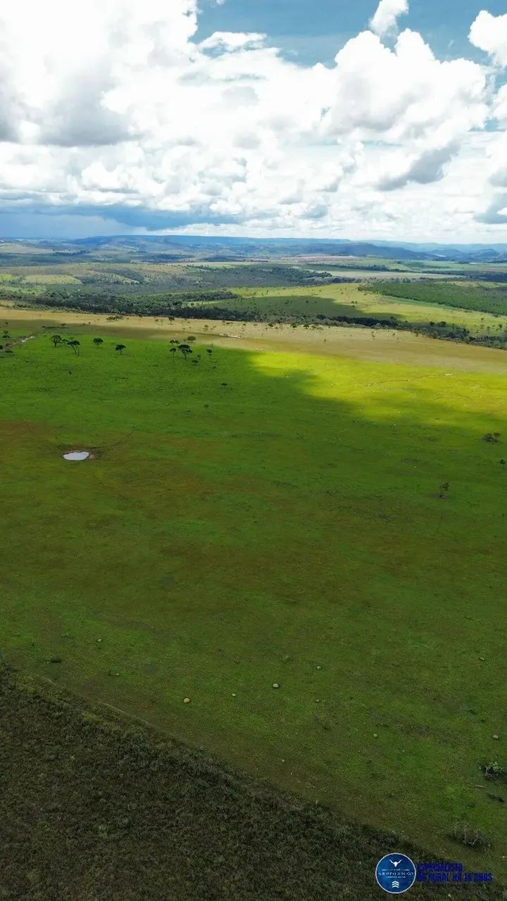 Fazenda de 40 Alqueires em Cocalzinho de Goiás - GO 40 Alqueires - Foto 3