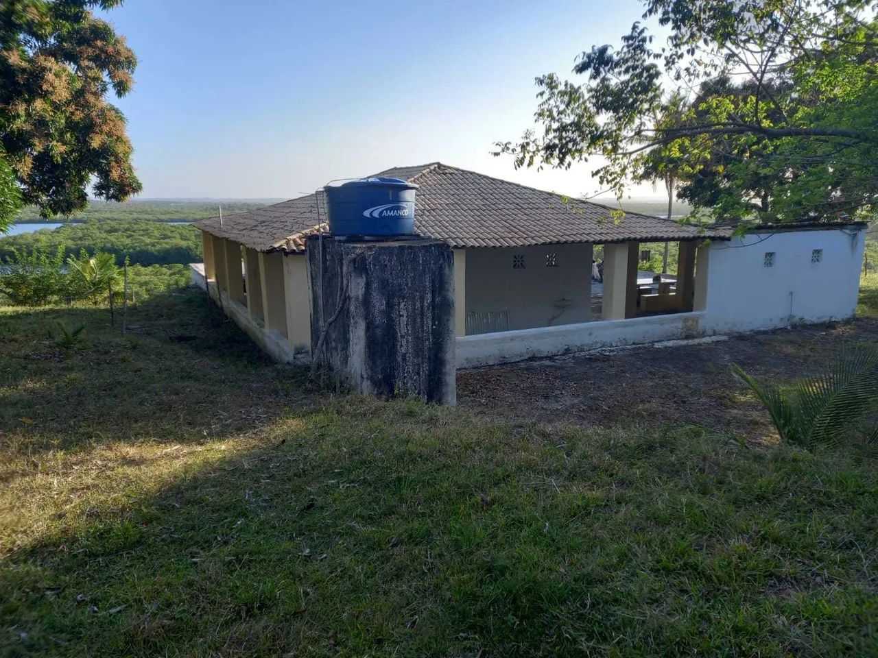 Fazenda São João Evangelista ^ - Foto 13