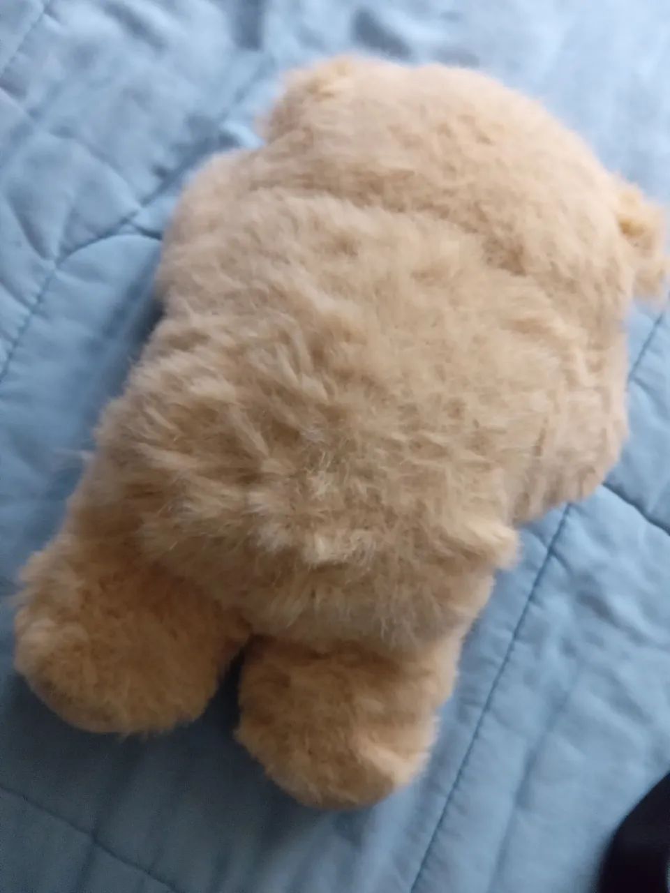Ursinho