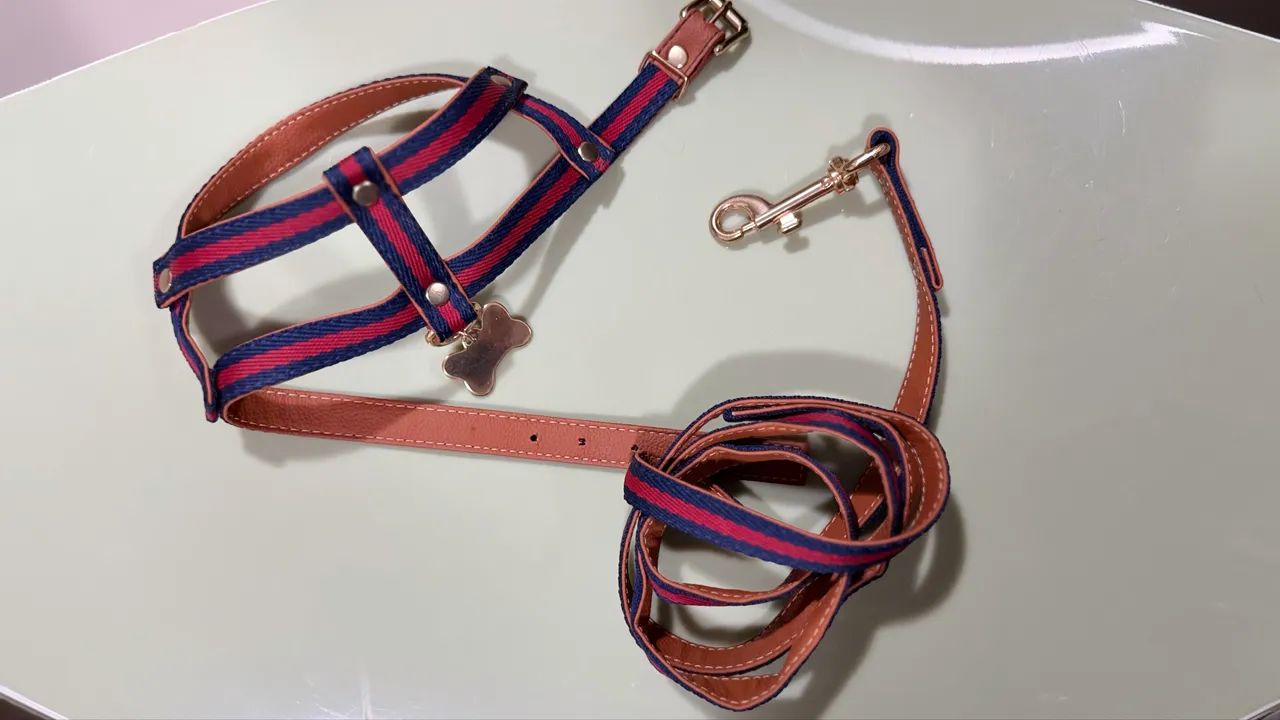 conjunto peitoral estilo H e guia, azul e vermelho, tamanho p, nunca usado - Foto 2