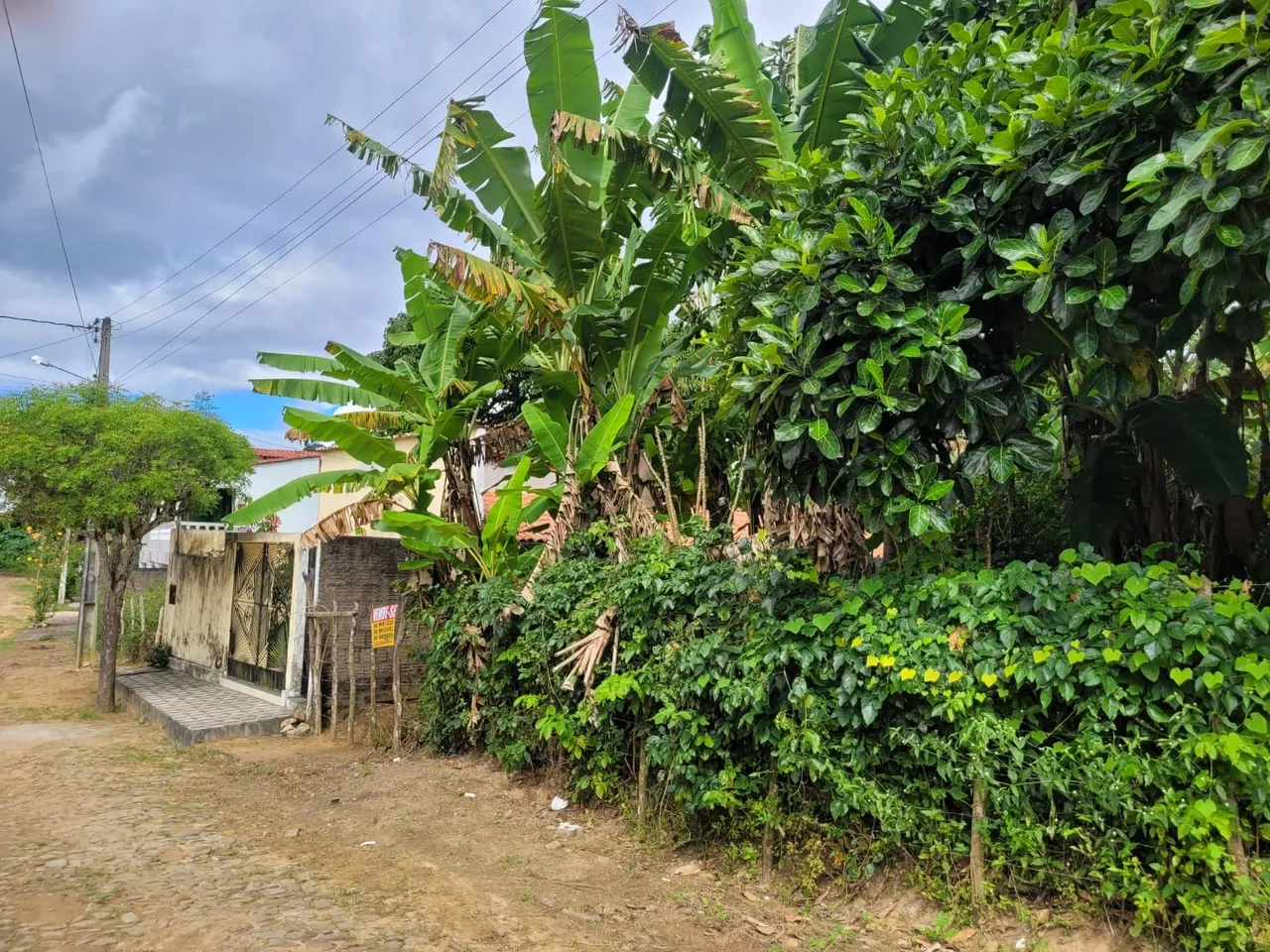 Chácara com diversas árvores frutíferas