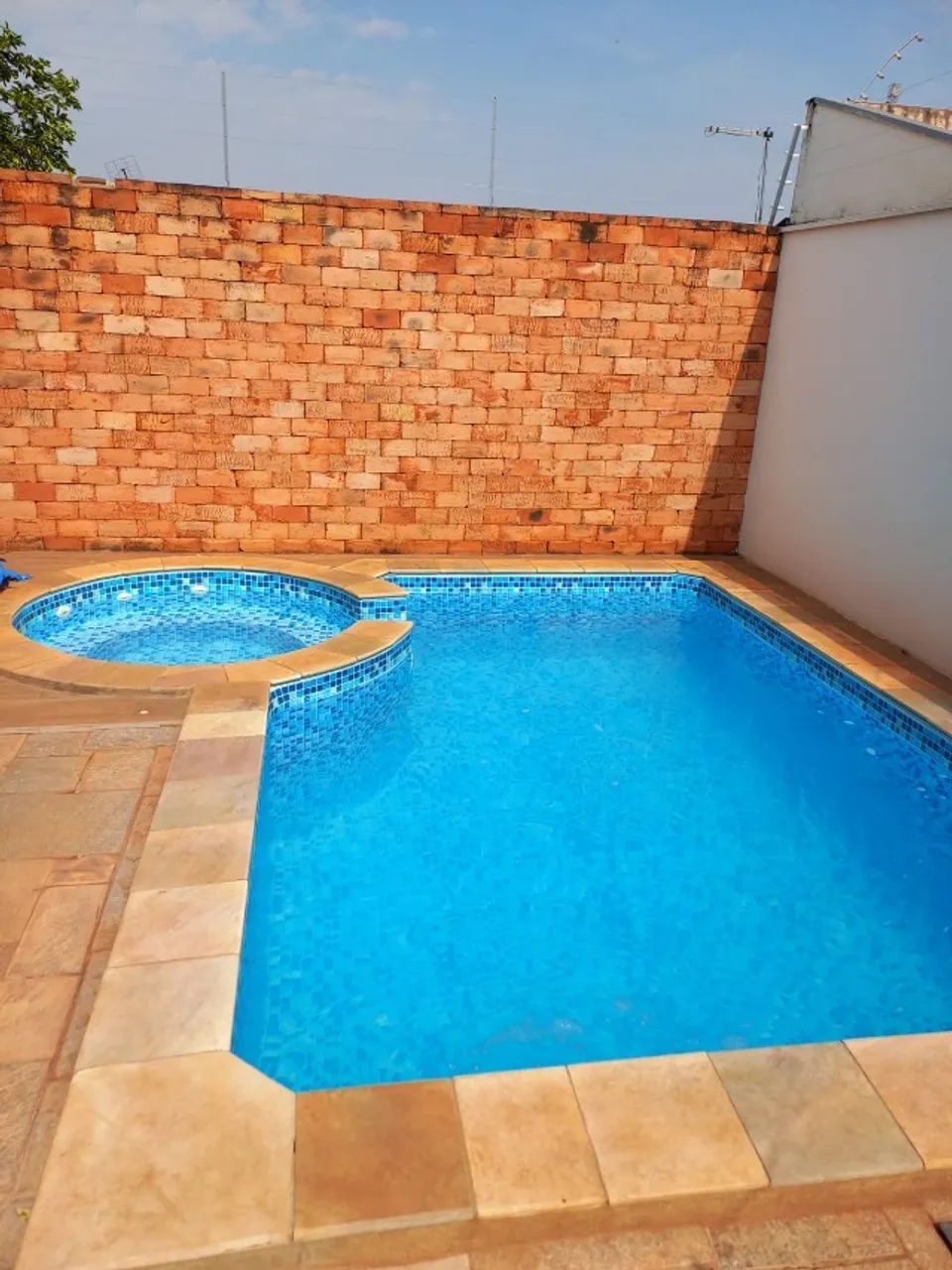 Foto - Dracena - Jardim das Palmeiras II