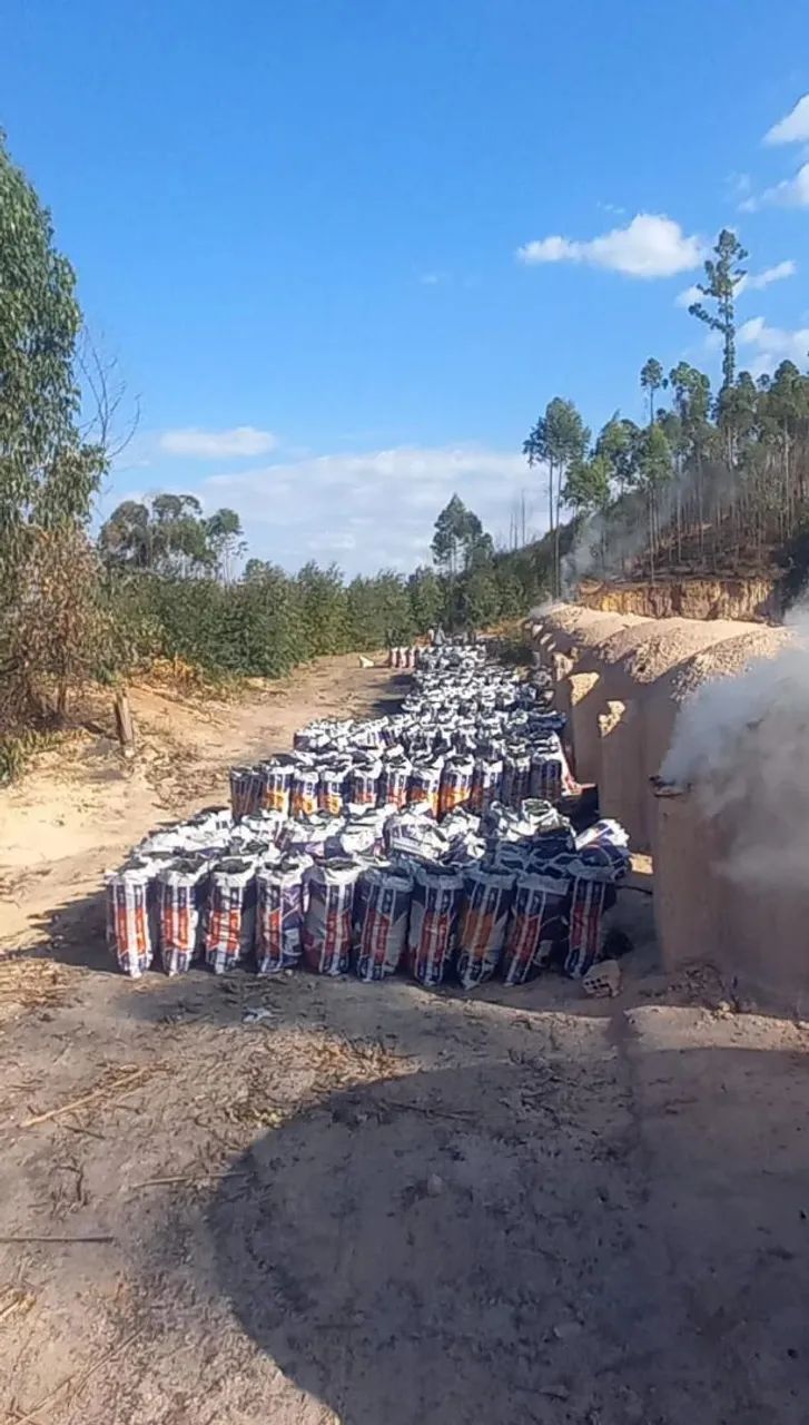 Carvão Vegetal Extra - Qualidade Premium r$ 40 - Foto 6