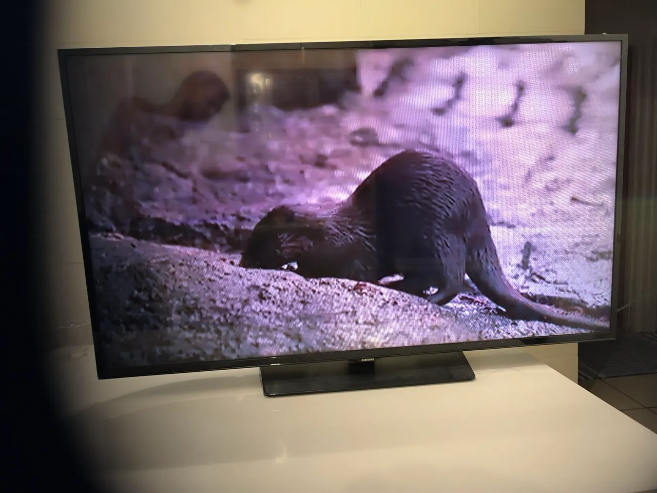 Smart TV sansung 48 Led HD pol.