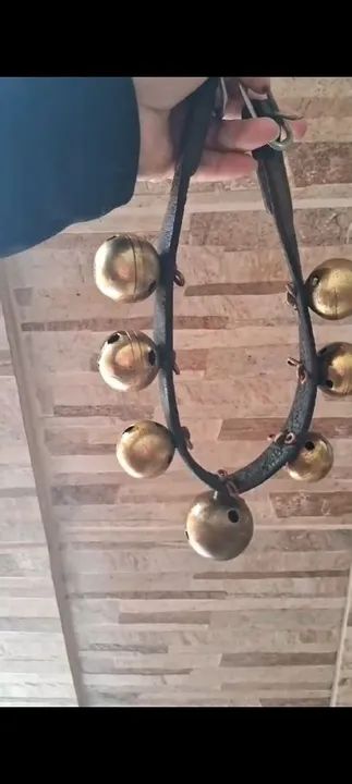 Charrete ... carrinho  aro 21 top guizera mais arreamento  - Foto 4