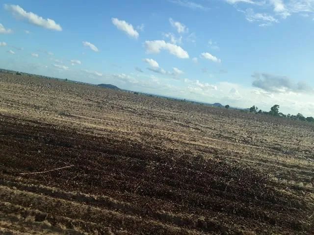 Fazenda com 190 hectares entre lagoa de pedras e Serrinha - Foto 5