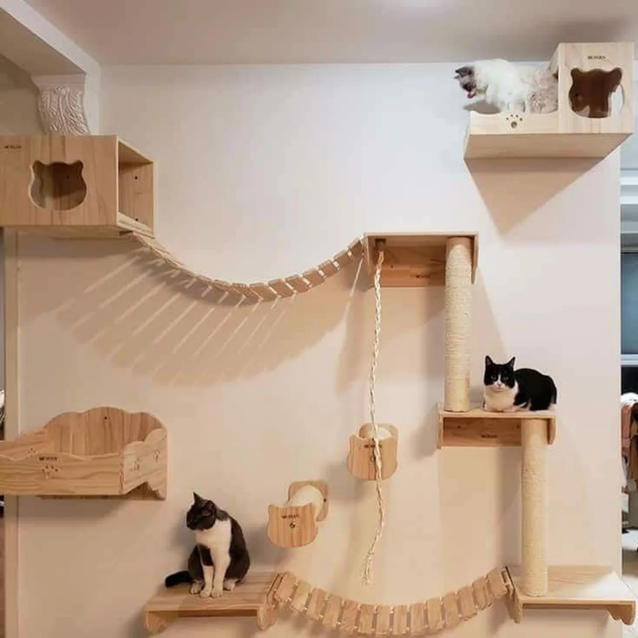 Playground para gatos