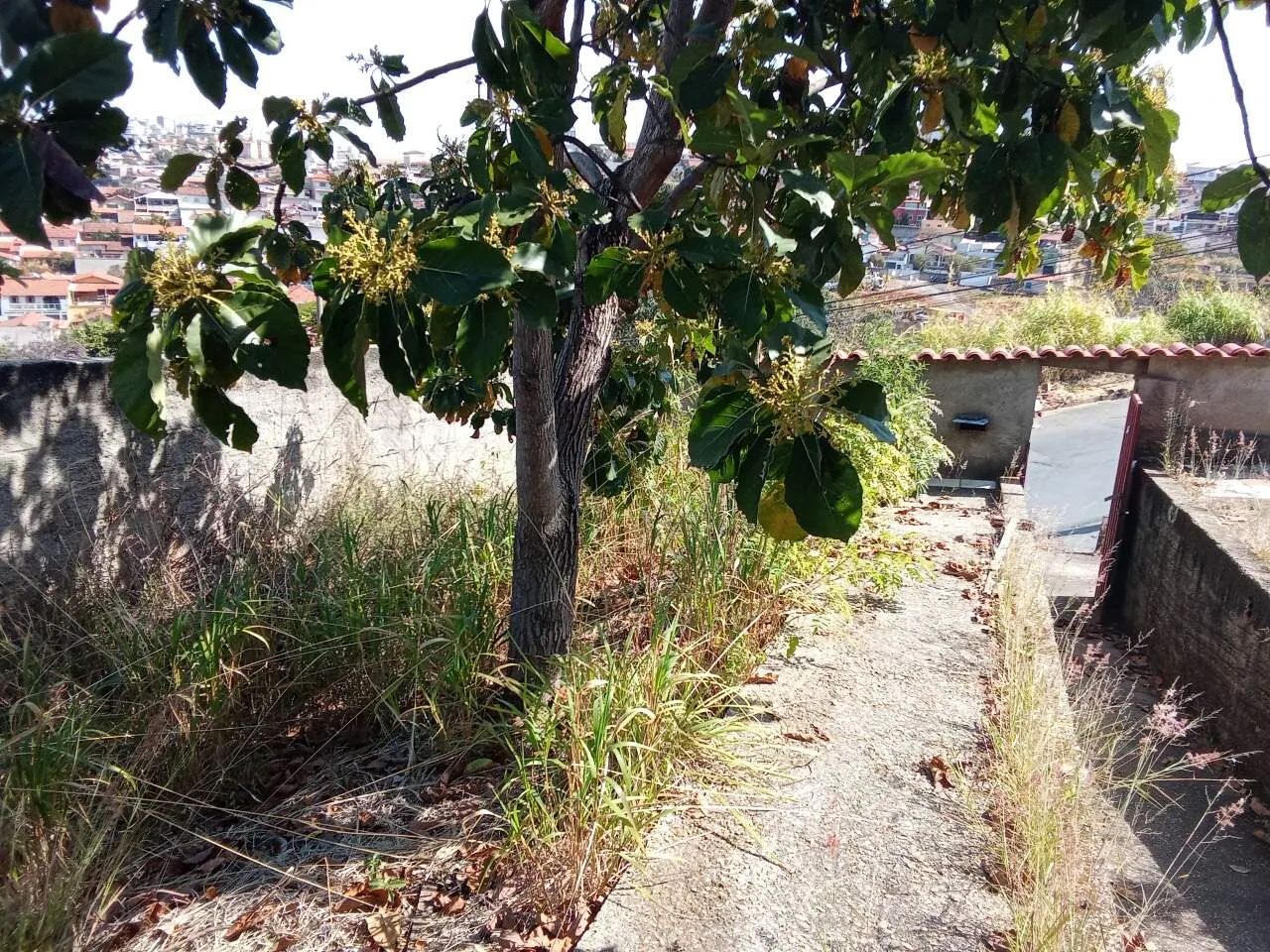 LOTE 360M² NO SANTA HELENA - Foto 7