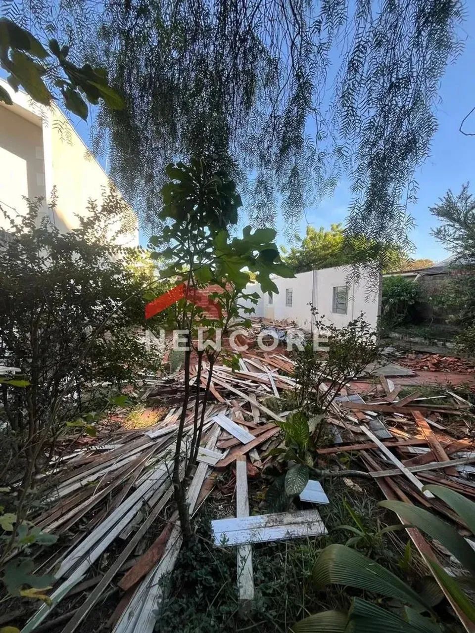 Lote em Rua Vereador Nelson Abrão - Zona 05 - Maringá/PR - Foto 4