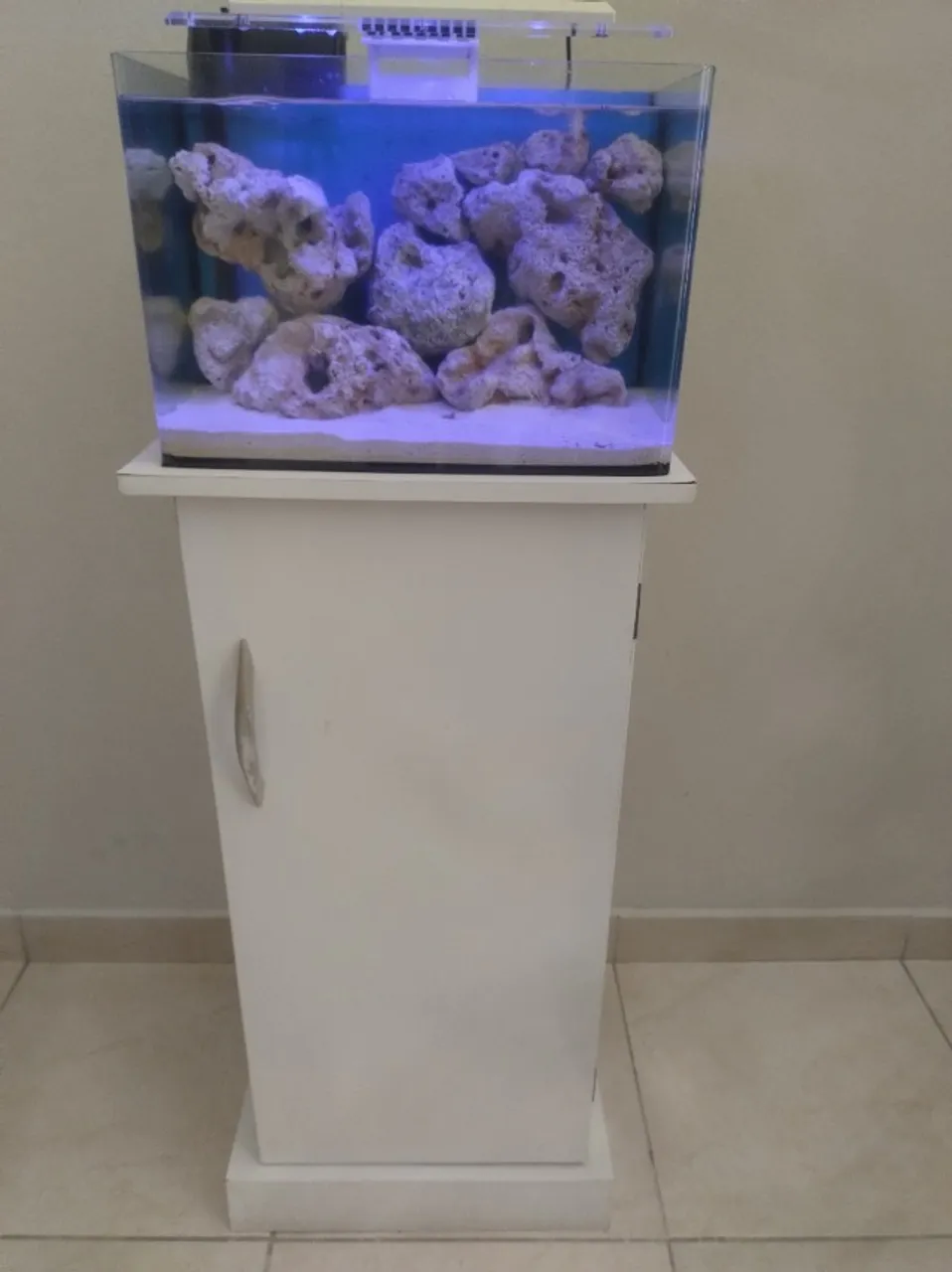 Aquário Marinho Completo