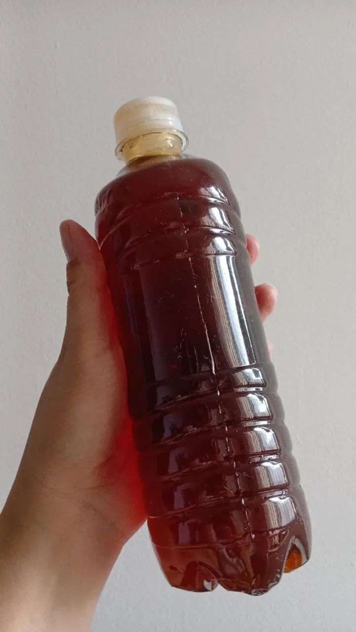 Mel puro em garrafa de 500 ml