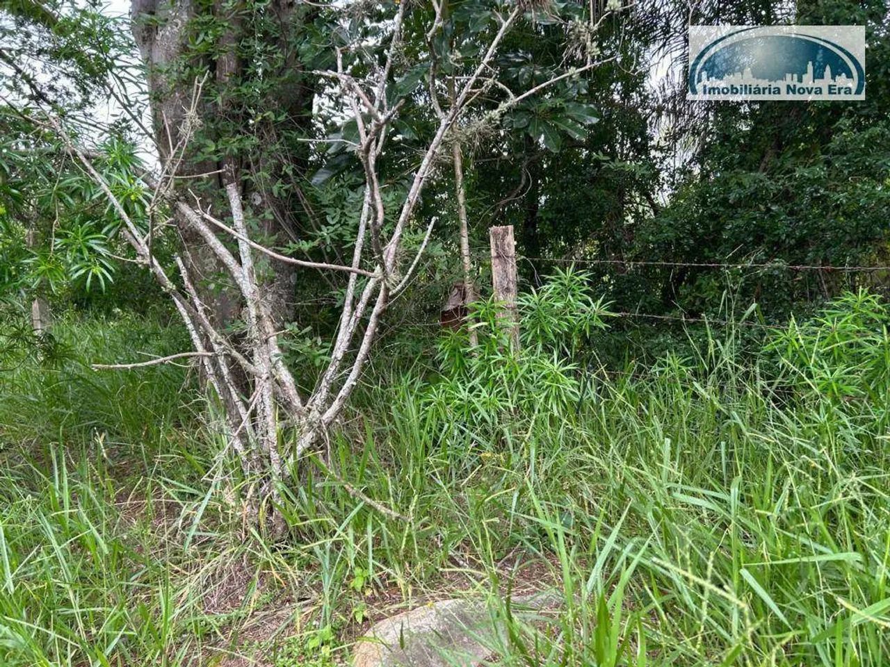 Chácara à venda, 5000 m² por R$ 4.000.000,00 - Monte Alegre - Vinhedo/SP - Foto 11