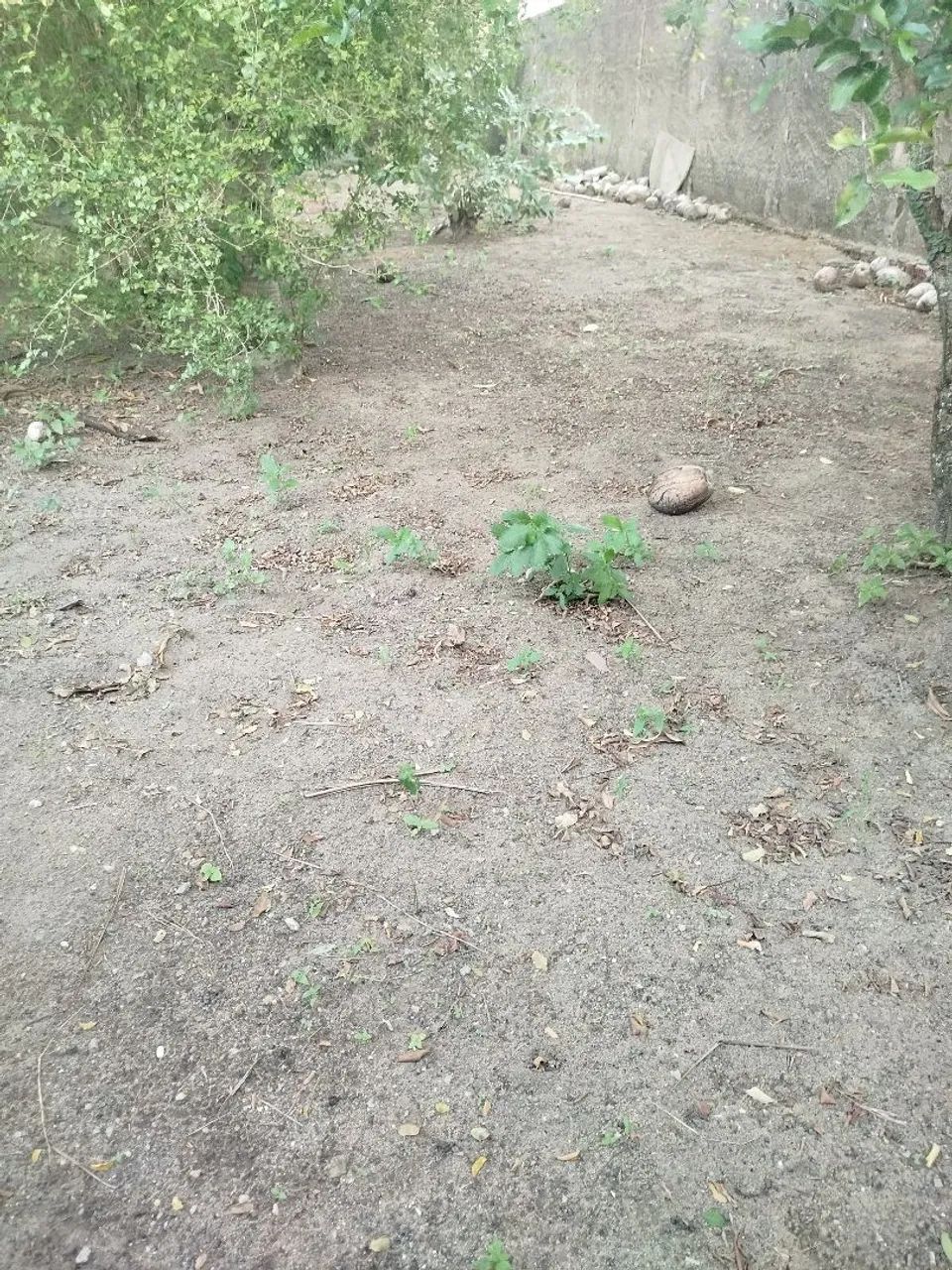 Vende-se terreno  - Foto 5