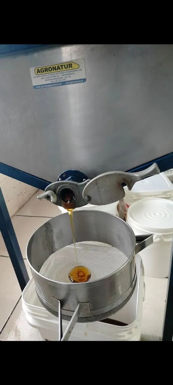 PROMOÇÃO DE MEL NOVINHO 