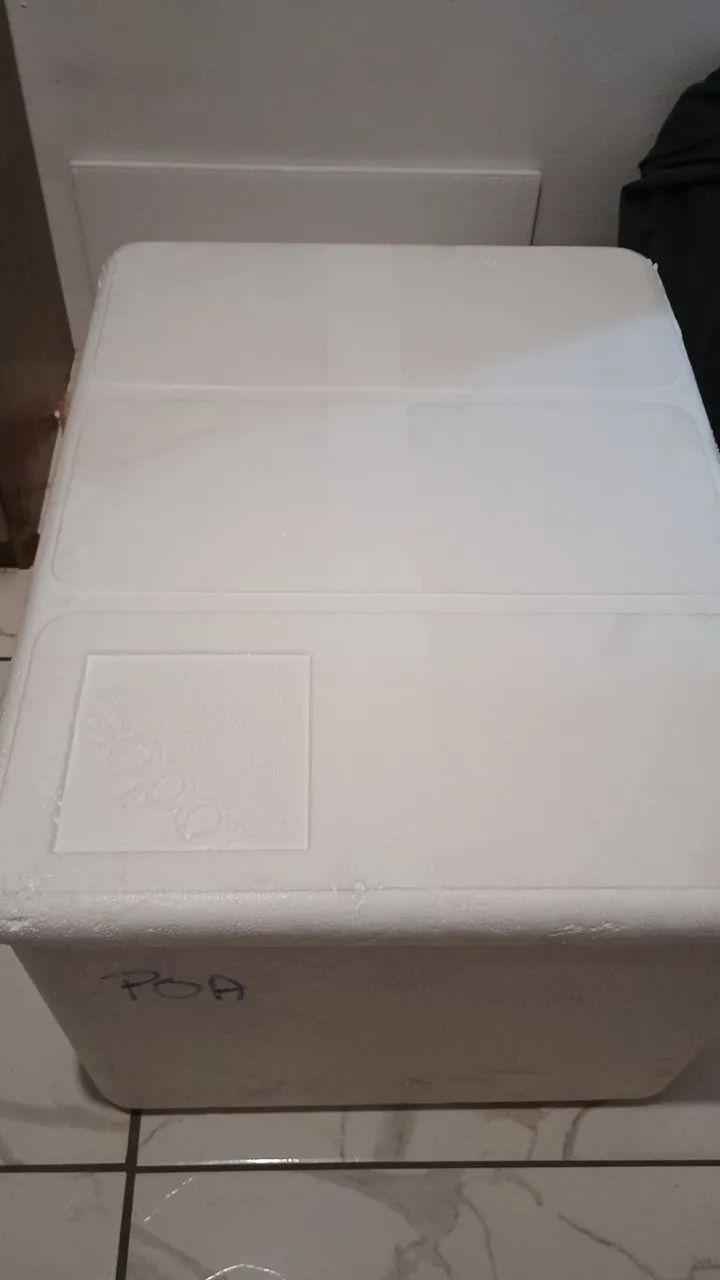 Caixa de isopor (120 litros) - Foto 2