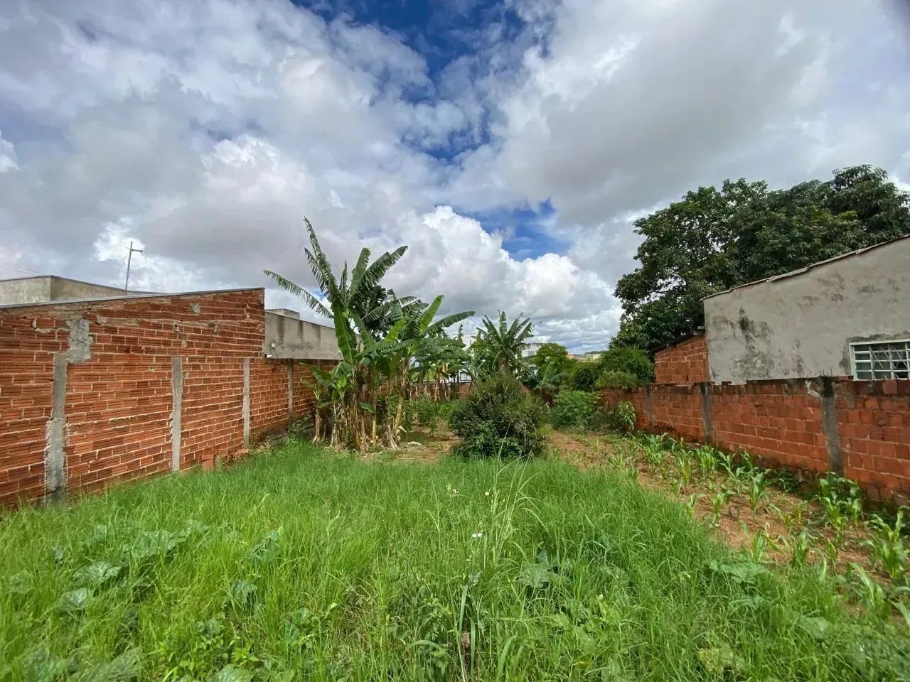 Excelente Lote no Bairro São João - Foto 4