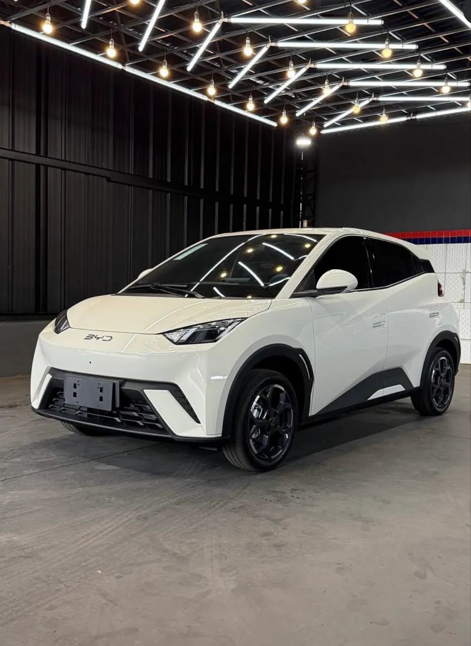 BYD Dolphin Mini (Elétrico) 2024 - Foto 4