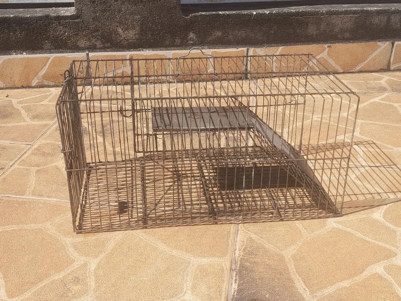 Armadilha de rato