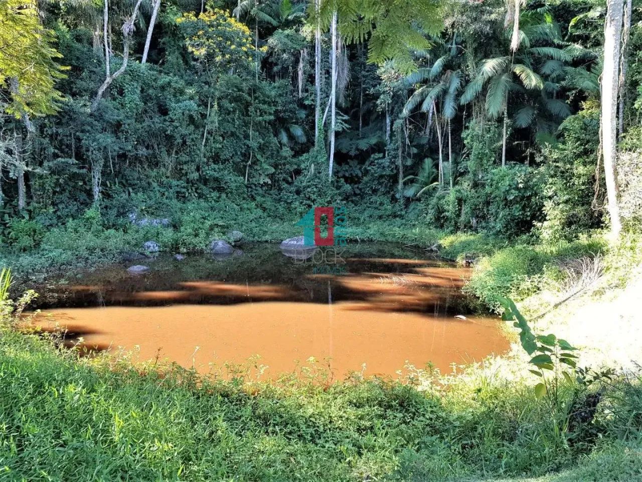 Ipiabas | Fazenda 3 quartos, sendo 1 suite - Foto 12