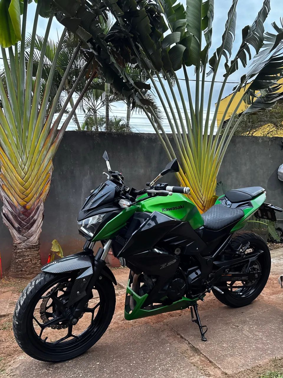Z300  - Foto 2