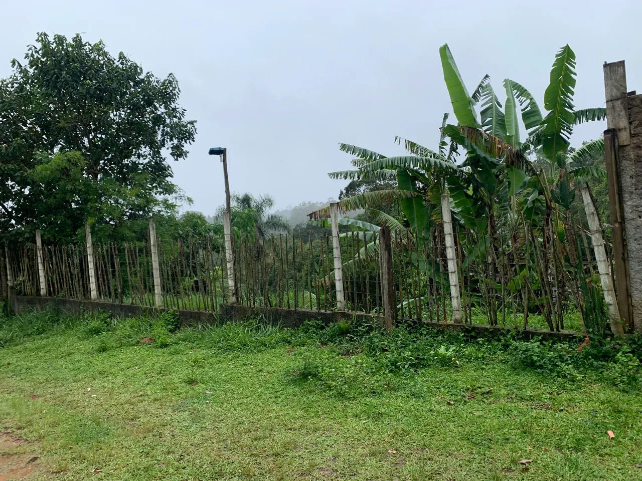 Foto - Cotia - Ressaca