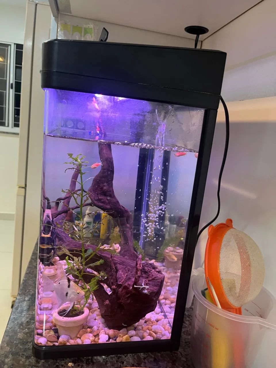 Vendo Aquário Boyu 66L com LED - Foto 2