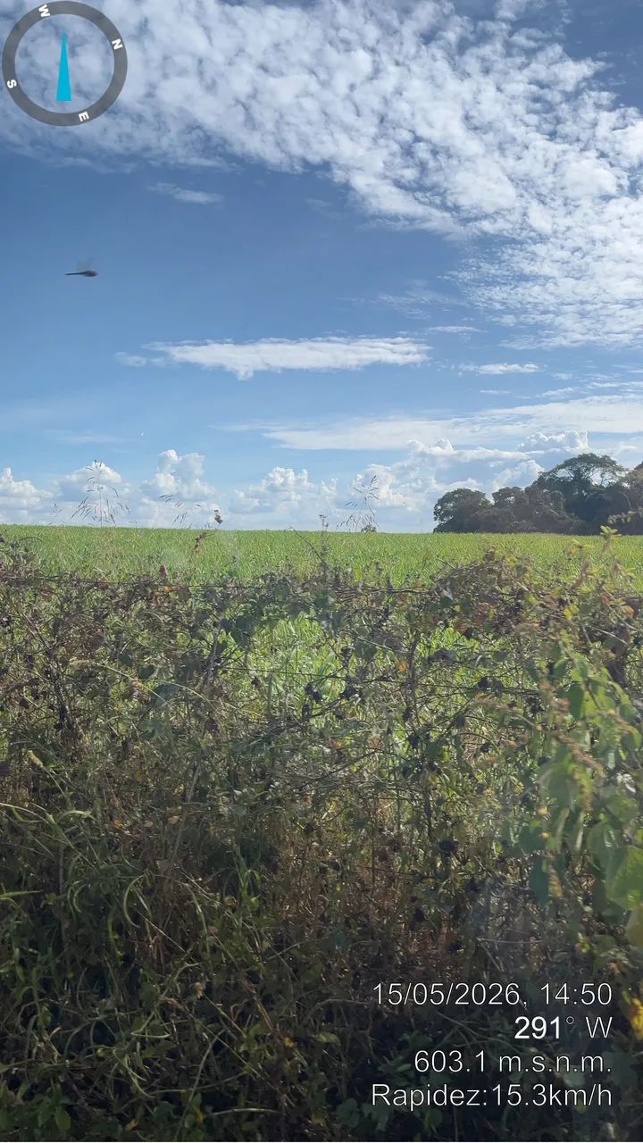 Contrato mulher para serviço rural em Bela Vista de Goiás