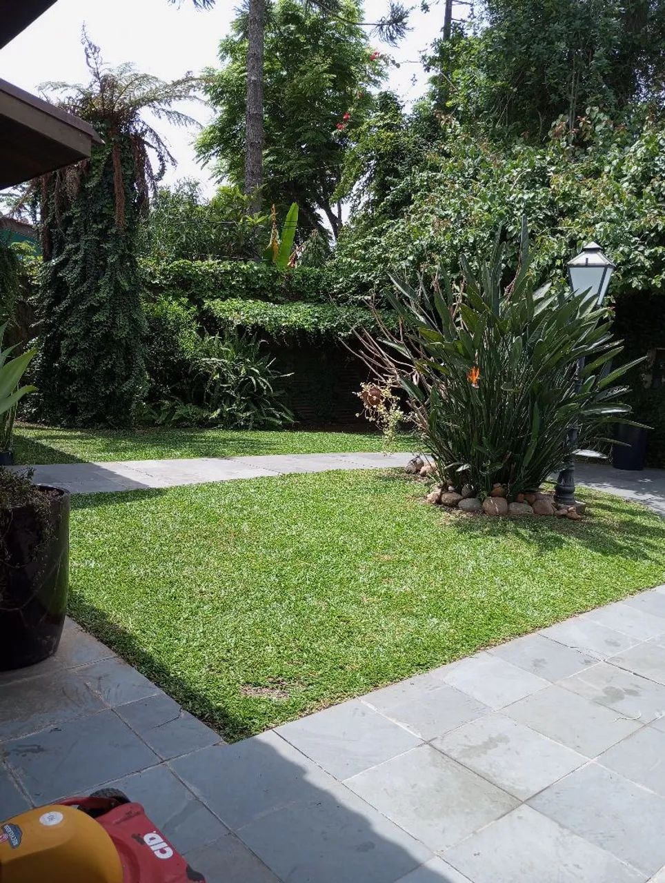 Jardinagem e Paisagismo Tiete e Região. - Foto 4