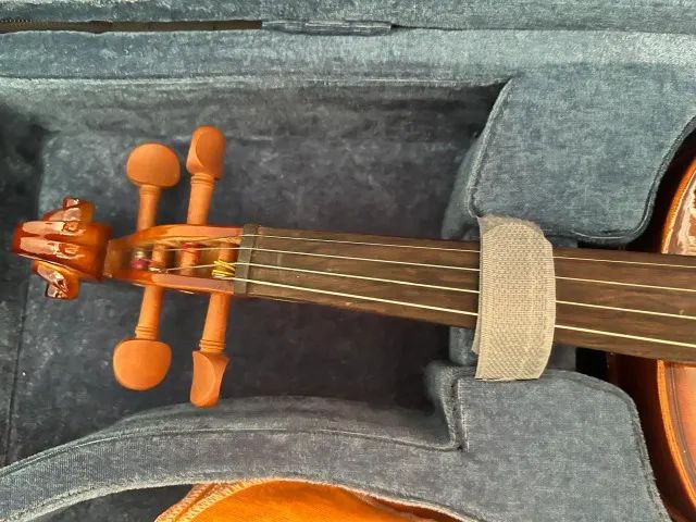 Violino Eagle VE 441 4/4 - Foto 5