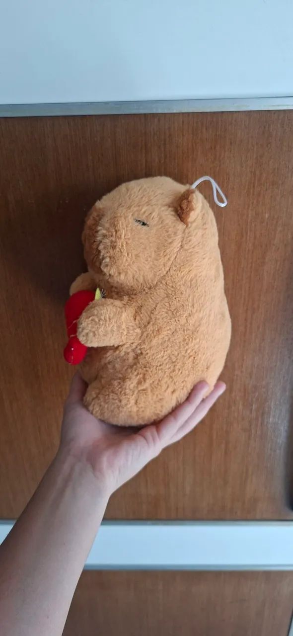 Capivara de Pelúcia  - Foto 3