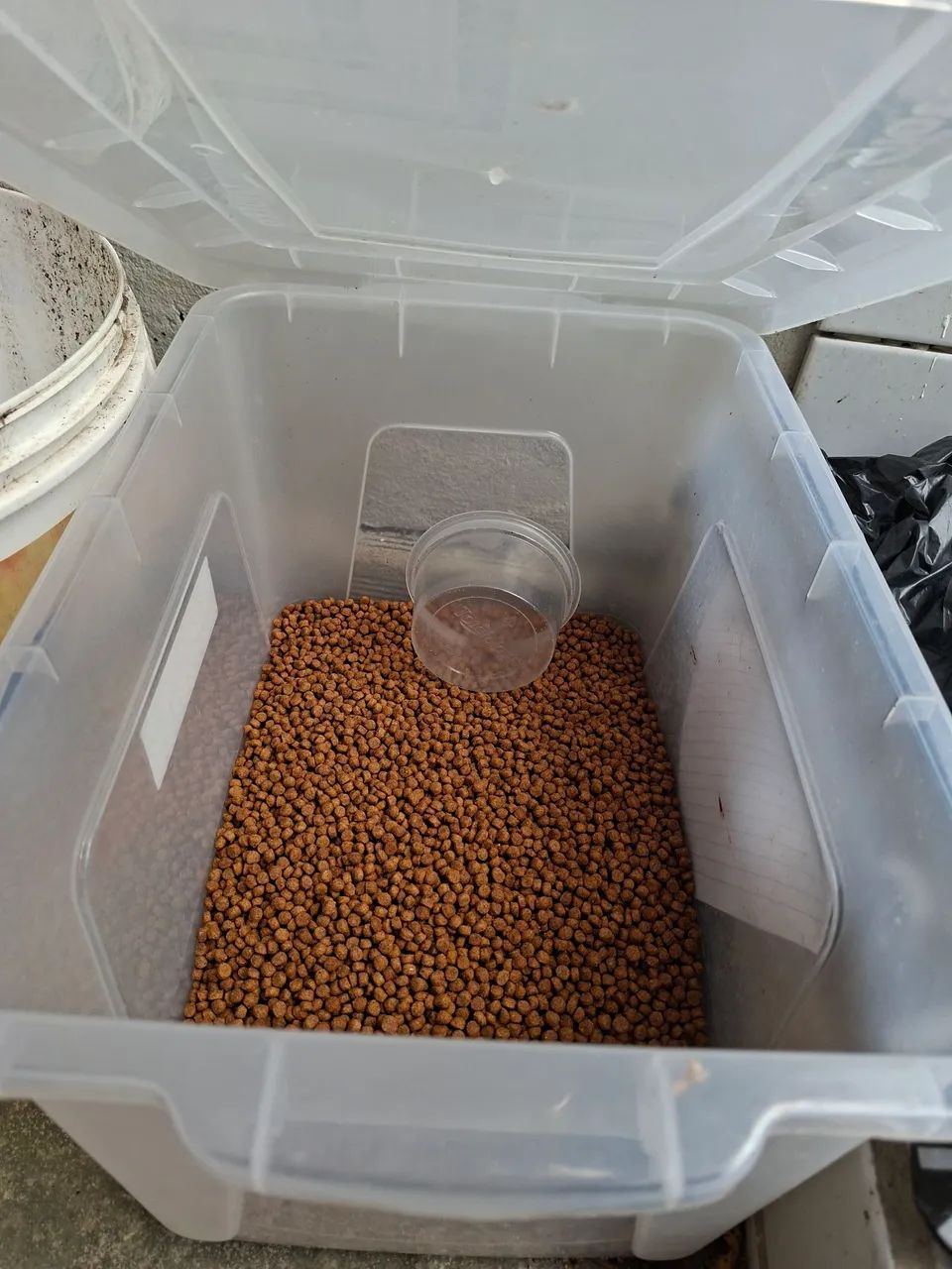 Coisinhas de gato - Foto 3